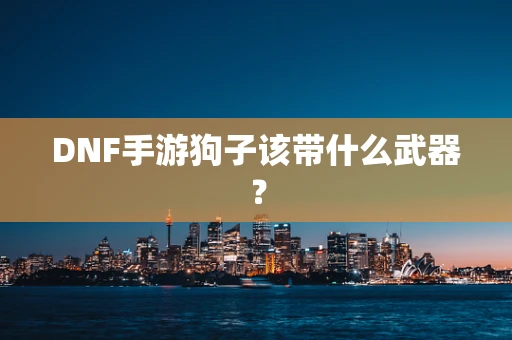 DNF手游狗子该带什么武器？